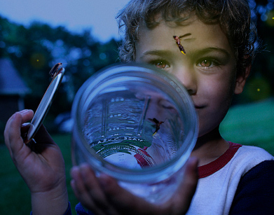 boy-catching-fireflies
