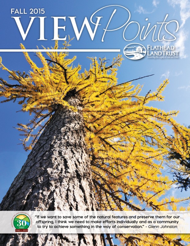 Our Fall ViewPoints Newsletter is Here!