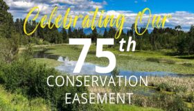 Our 75th Conservation Easement!