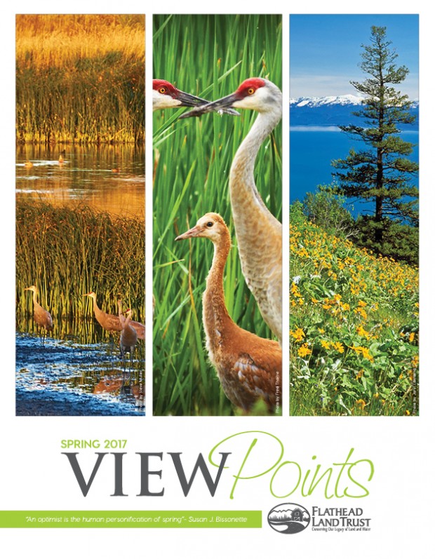 ViewPoints Spring Newsletter is Here!