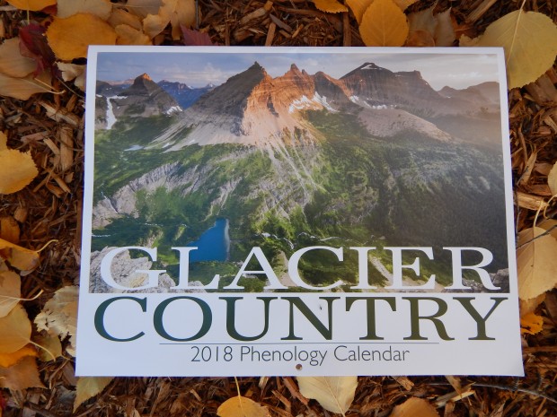 Get Your Glacier Country 2018 Phenology Calendars Here
