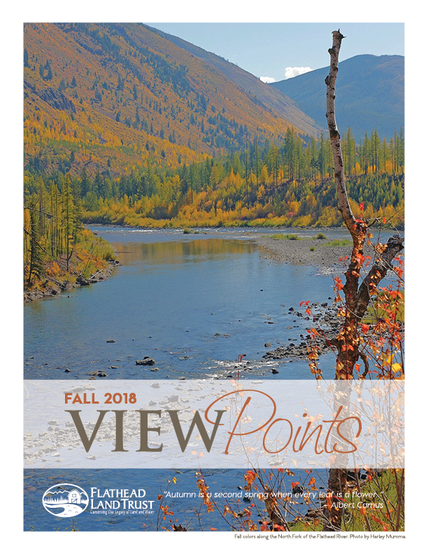 Fall ViewPoints Newsletter