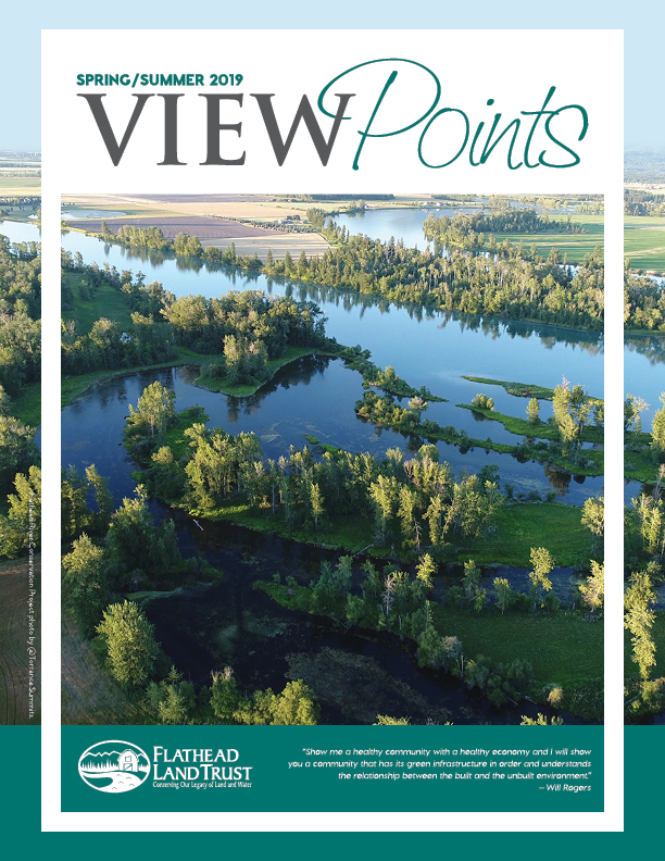 Spring/Summer ViewPoints Newsletter is Here!