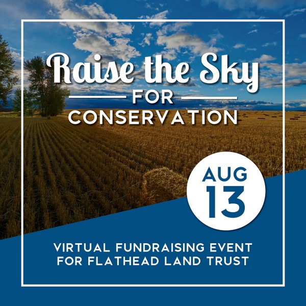 Raise the Sky for Conservation