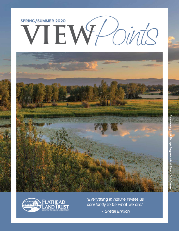 Our Spring/Summer View Points Newsletter is Here!