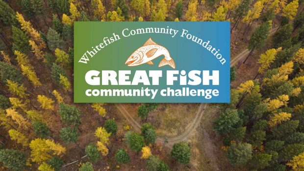 Now is a Great Time to Donate: The Great Fish Community Challenge is Upon Us!