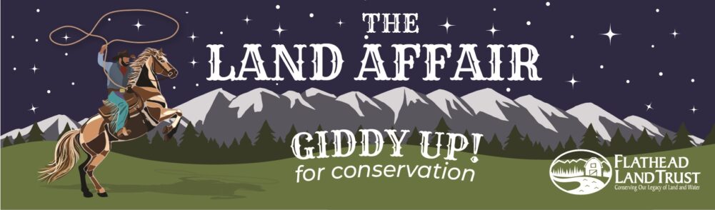 2026_The Land Affair Ticket Long Banner 2